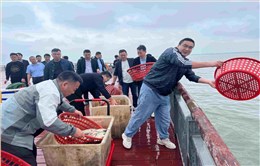 匯源塑膠放生活動