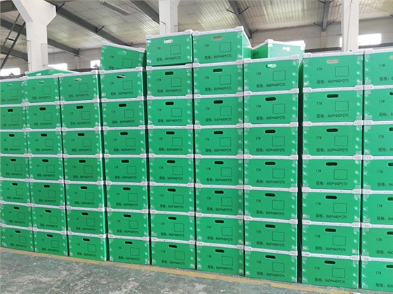 中空板周轉(zhuǎn)箱4