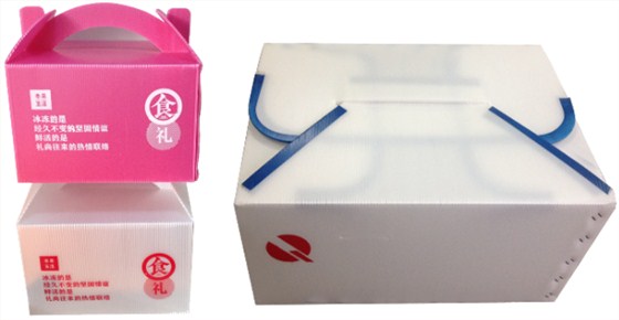 中空板周轉(zhuǎn)箱1