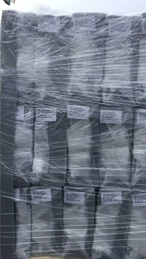 中空板出貨區(qū)3