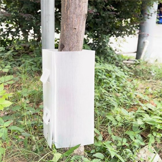 中空板護(hù)苗板 中空板護(hù)苗板