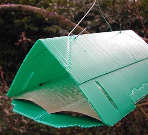 中空板防蒼蠅架