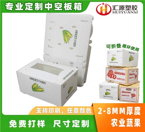 蔬菜水果包裝箱