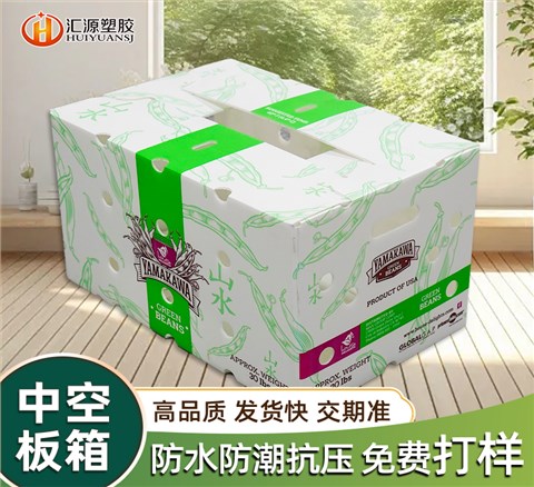 白色紙箱式中空板周轉(zhuǎn)箱