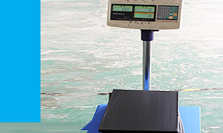 重量計(jì)價(jià)