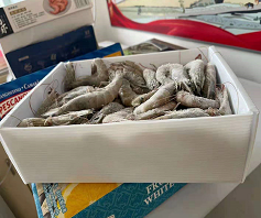 可循環(huán)快遞中空板箱質(zhì)量好不好？-匯源塑膠tonghuijt.com