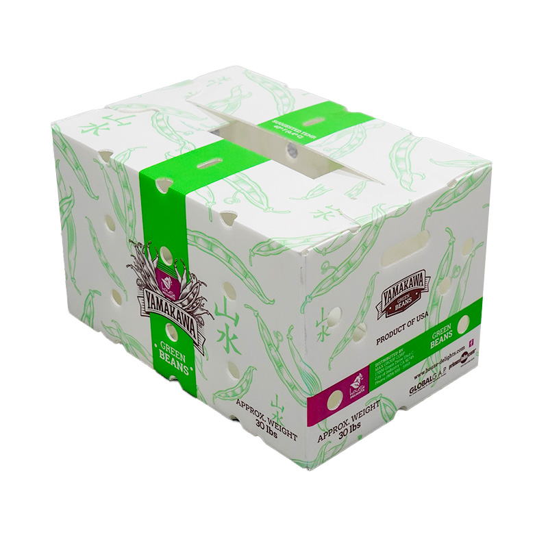 白色紙箱式中空板周轉箱